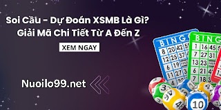 soi cầu 1200