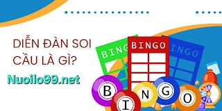 soi cầu 1200