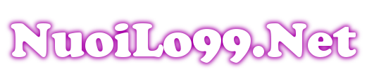 nuôi lô 99
