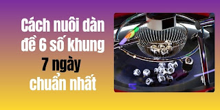 soi cầu 1200