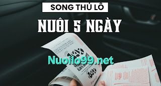 soi cầu 1200