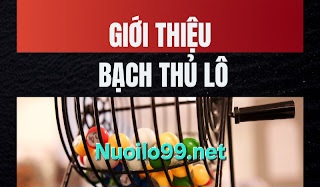 soi cầu 1200