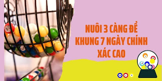 soi cầu 1200